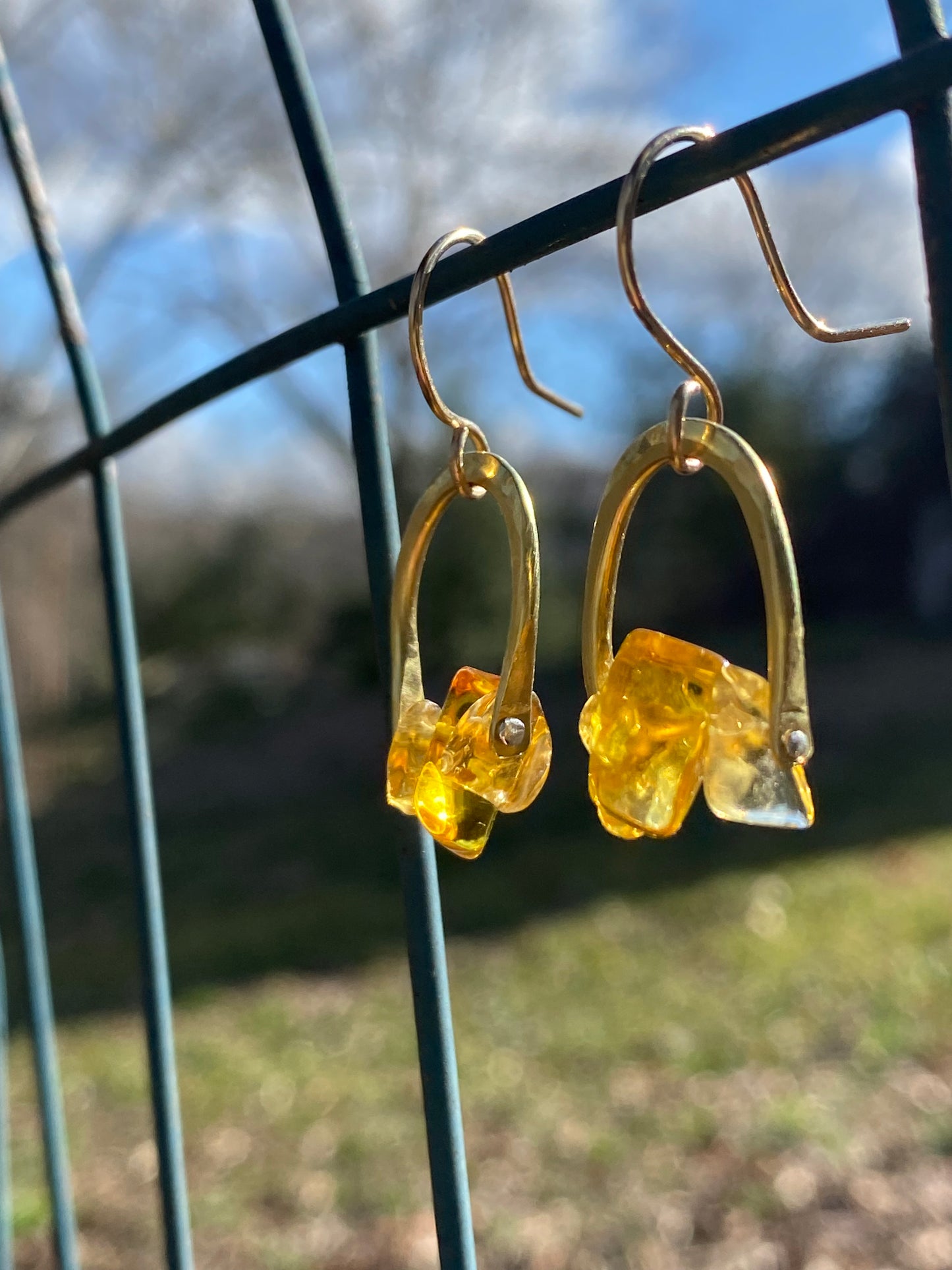 horseshoes with citrine